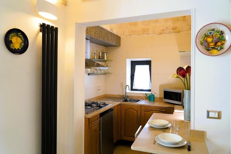 Comfort House, City View | Private kitchen | Full-size fridge, microwave, oven, stovetop