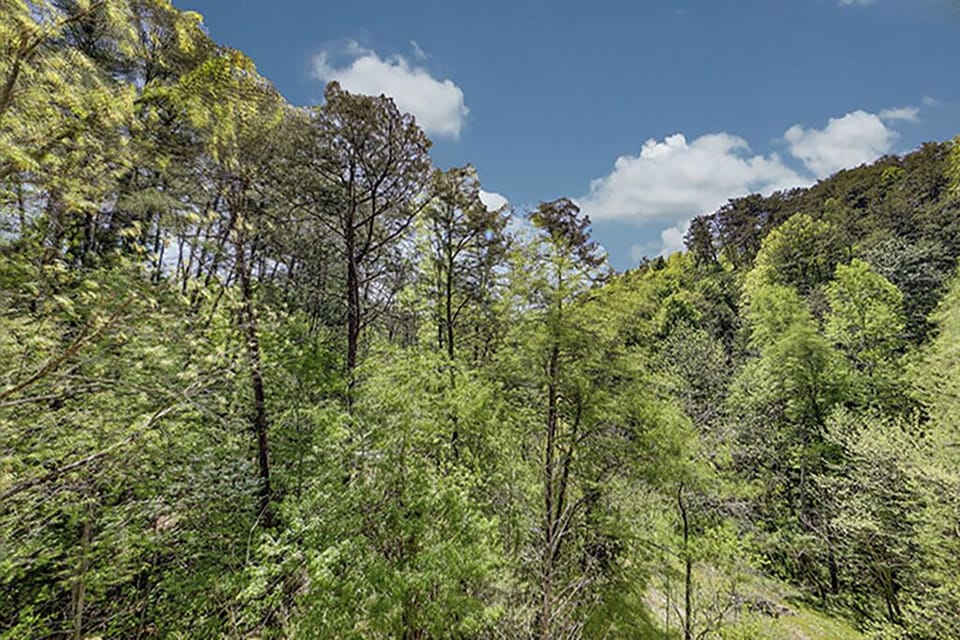 13521TTzlaiaDg-20210422145752