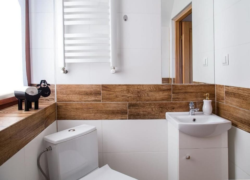 Hair dryer (on request), towels, toilet paper