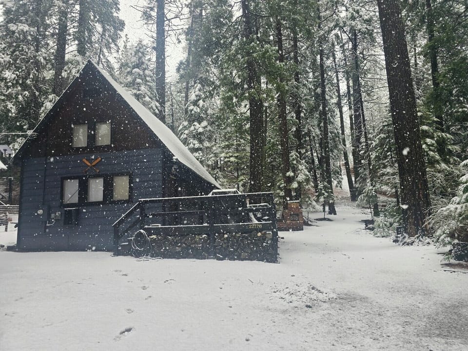 a snowy day in the winter 