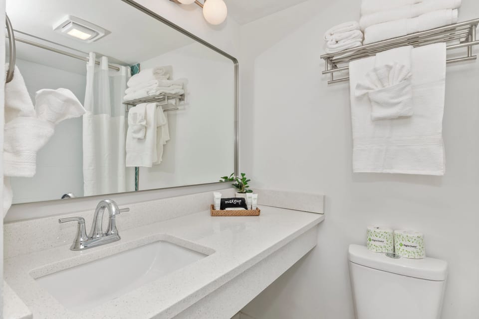 Full, modern bathroom with a shower and bathtub, toilet, and sink. Equipped with essential bathroom amenities including shampoo, conditioner, shower gel, hair dryer, and fresh towels for a comfortable, hassle-free stay.