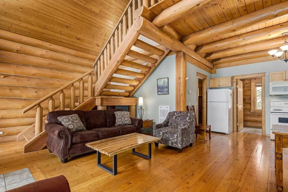 Living room with sofa bed.