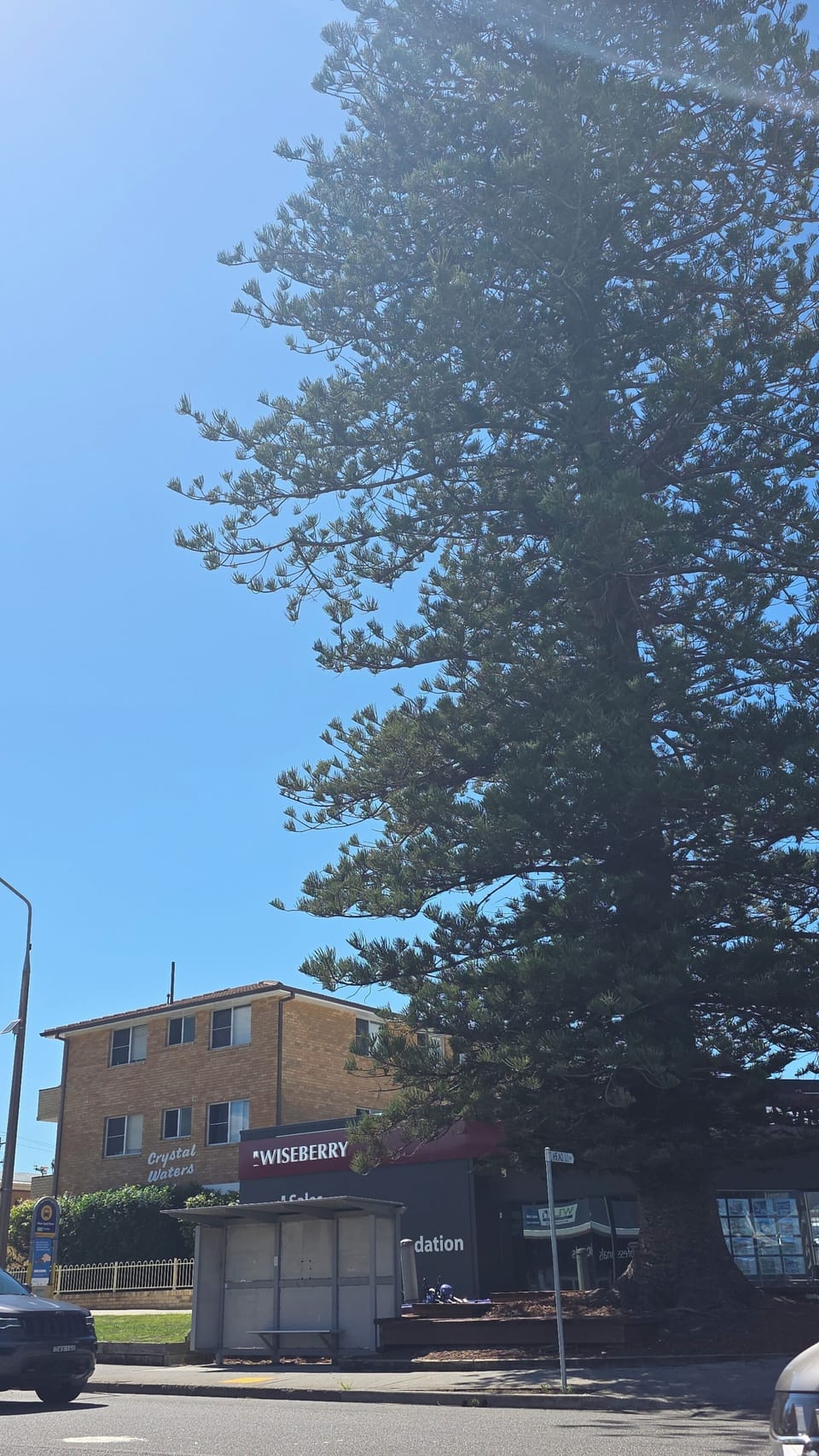 Beach Street Forster
