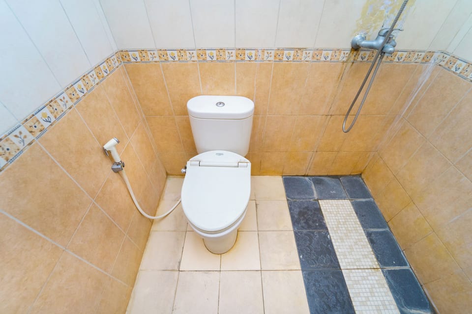 Deluxe Double Room | Bathroom | Shower, towels