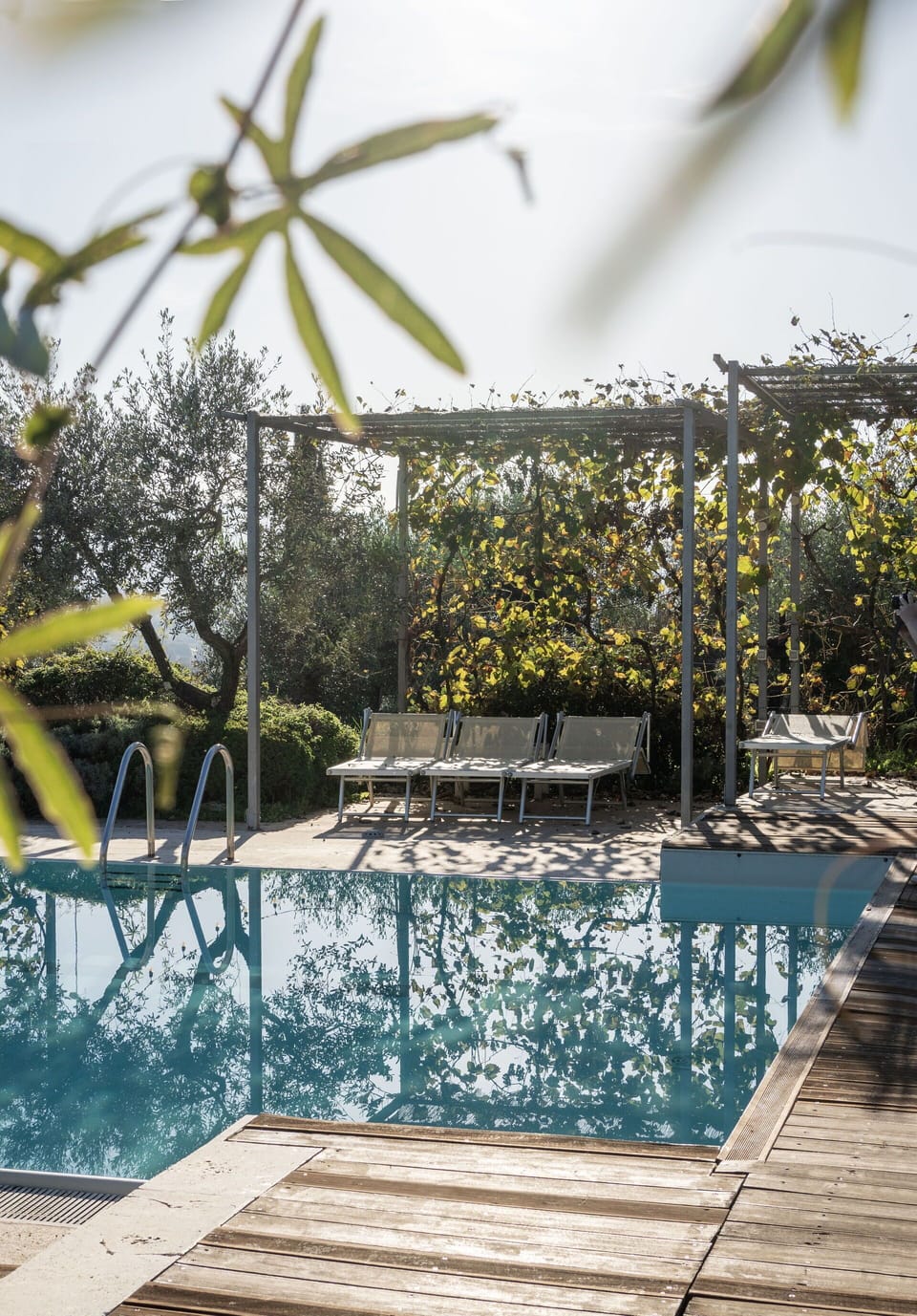 Swimming Pool, Outdoor Furniture, Resort, Composite Material, Shade, Eco Hotel, Sunlounger, Backyard, Chair, Landscaping