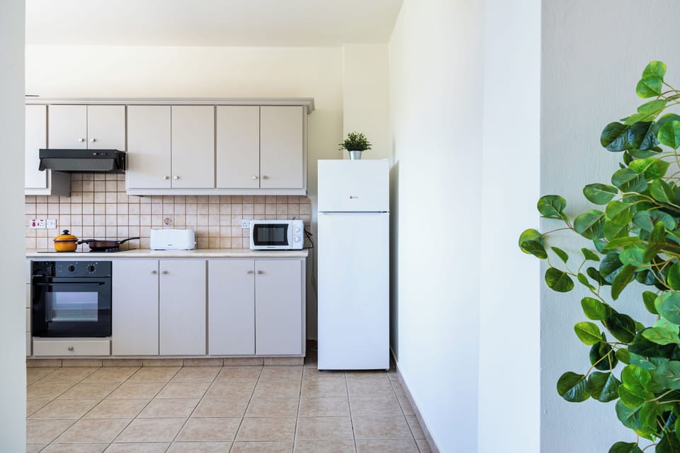 Apartment, 2 Bedrooms, Kitchen, City View | Private kitchen | Coffee/tea maker, full-size fridge, microwave, oven