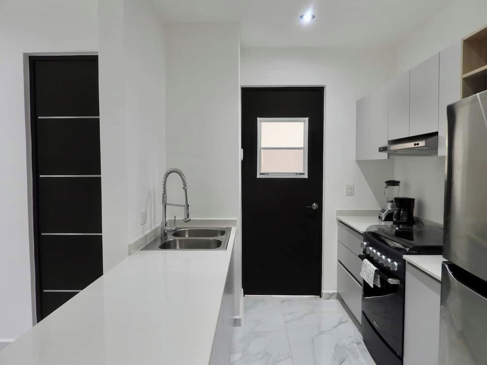 clean and shine kitchen