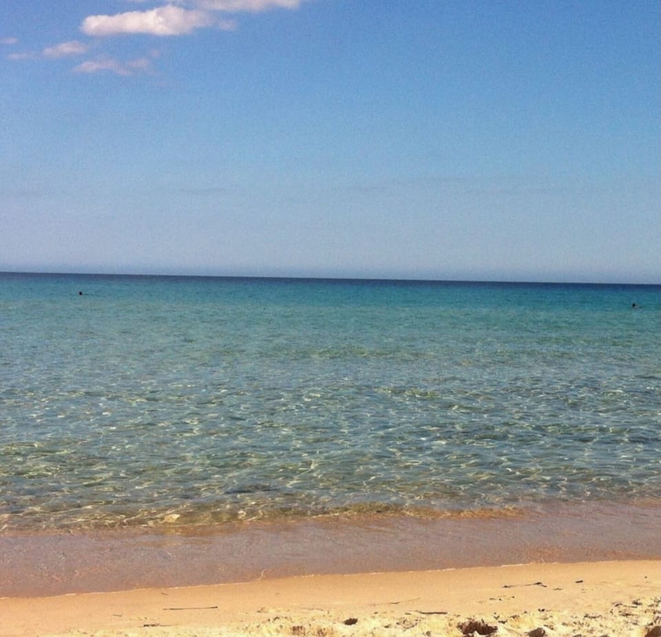 Beach
