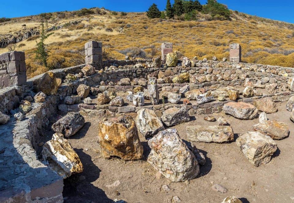 The Petrified Forest of Lesvos UNESCO Global Geopark (20km away)
