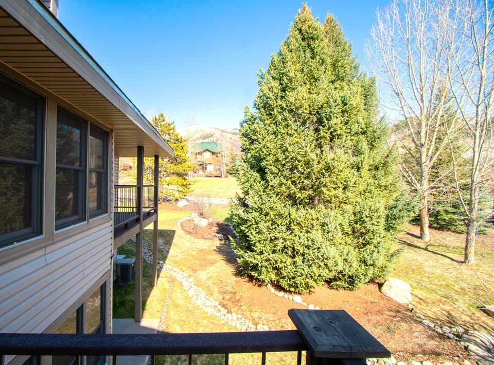Enjoy picturesque views, surrounded by lush greenery and the serene atmosphere of Steamboat Springs.