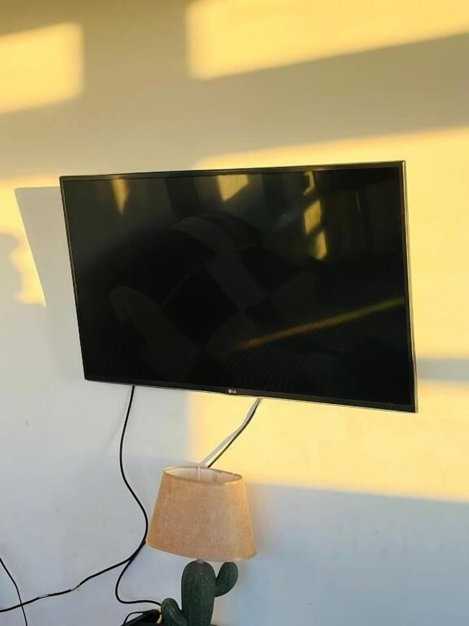 Television