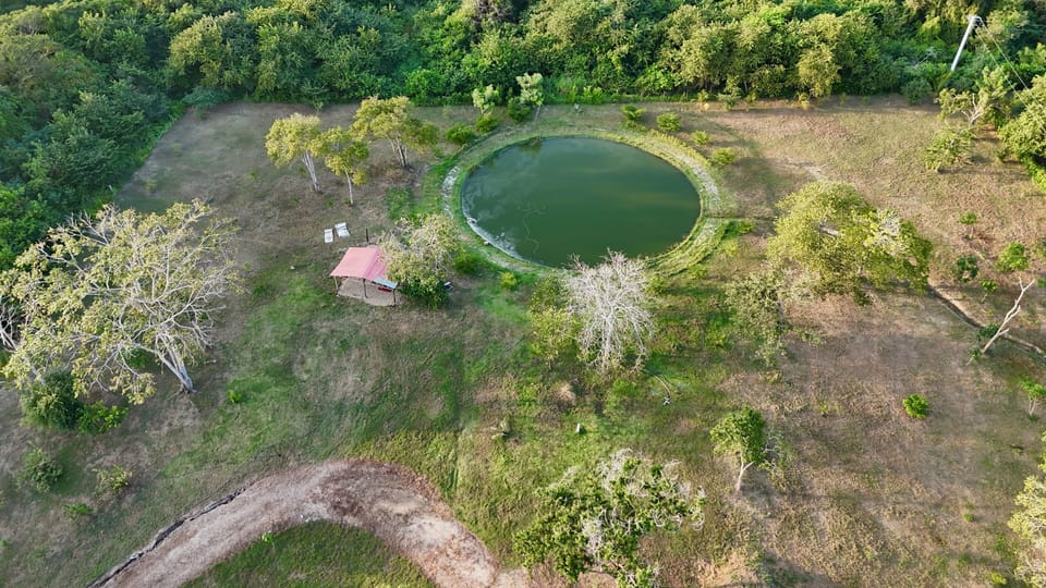 2 outdoor pools