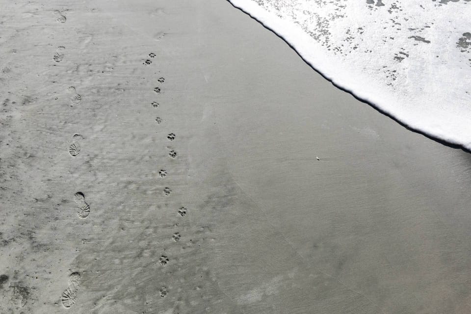Get your toes in the sand within minutes!  The beach is an easy breezy one block walk from The Hideaway.
