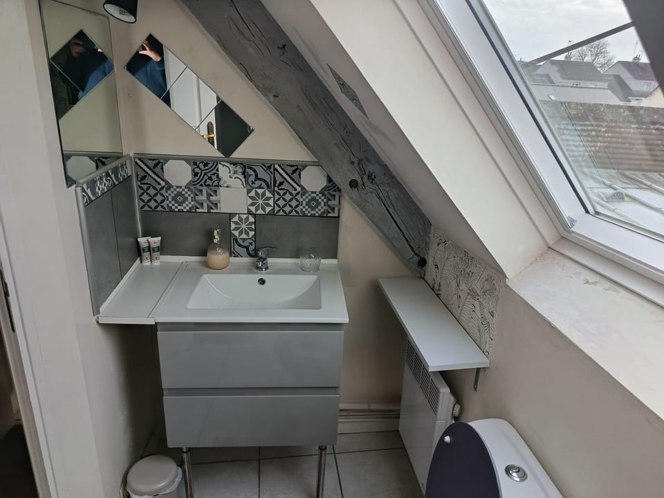 Classic Double Room | Bathroom | Shower, hair dryer, towels, soap
