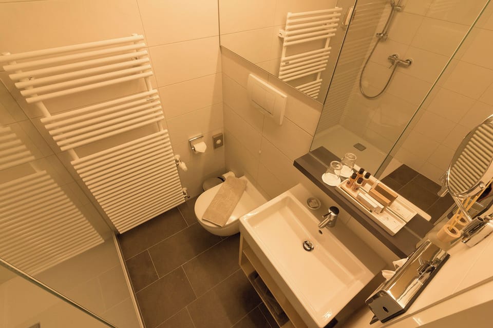 Deluxe Single Room, 1 Queen Bed, Private Bathroom | Bathroom | Free toiletries, hair dryer, bathrobes, towels