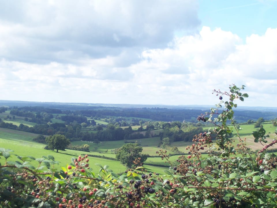 Land view from property