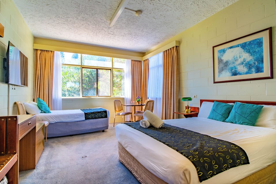 Standard Twin Room | Desk, iron/ironing board, free WiFi
