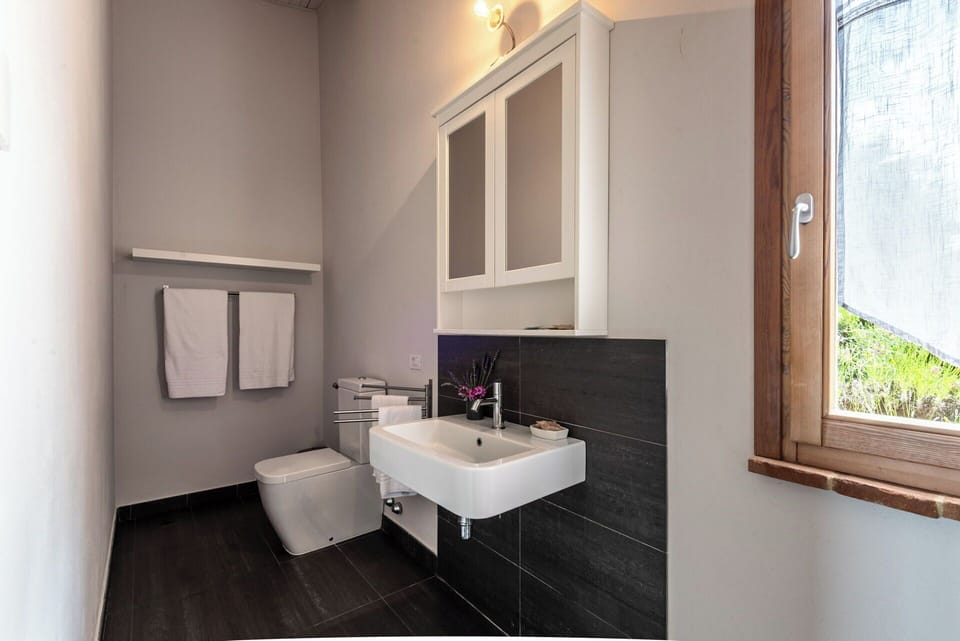Bathroom, Plumbing Fixture, Flooring, Interior Design, Wall, Floor, Sink, Bathroom Sink, Tap, Toilet