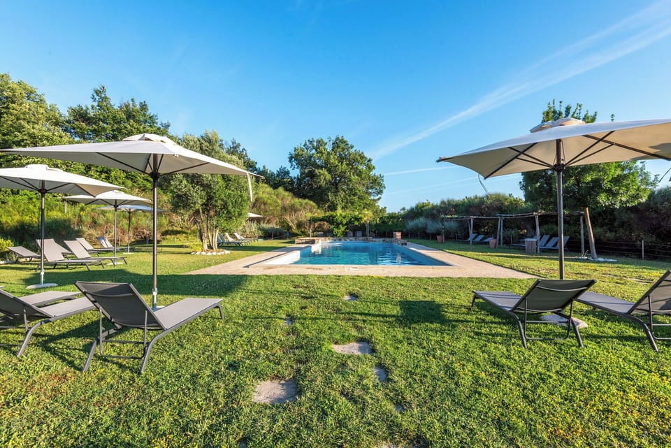Blue, Garden, Landscaping, Lawn, Shade, Swimming Pool, Park, Plantation, Eco Hotel, Resort