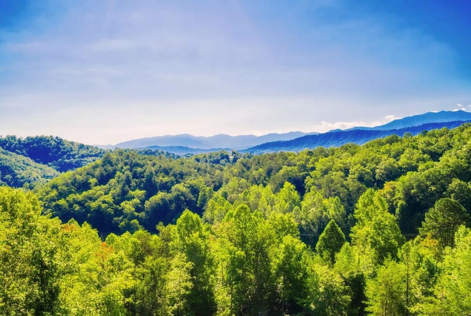 Nothing better than the Great Smoky Mountains. 