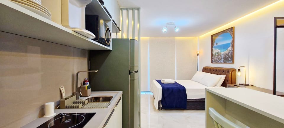 Basic Apartment | Private kitchen | Fridge, microwave, stovetop, blender
