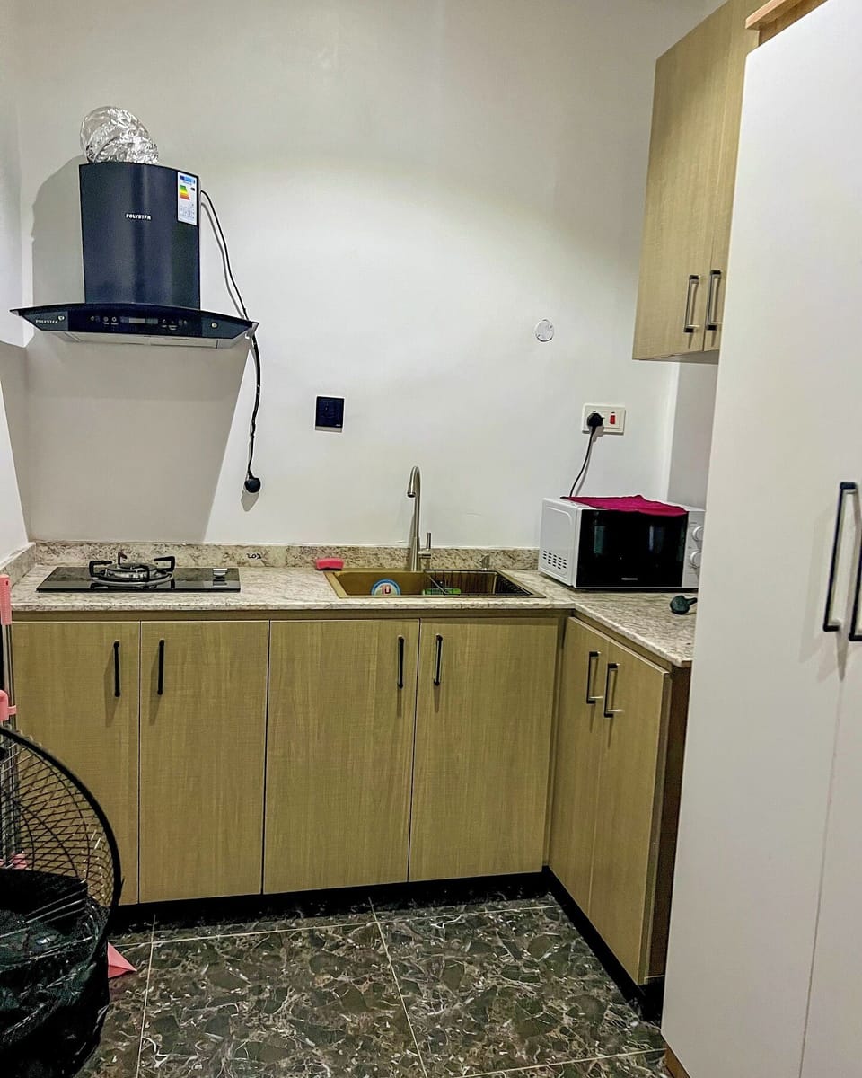 Economy Apartment, Balcony, City View | Private kitchen | Fridge, microwave, oven, stovetop