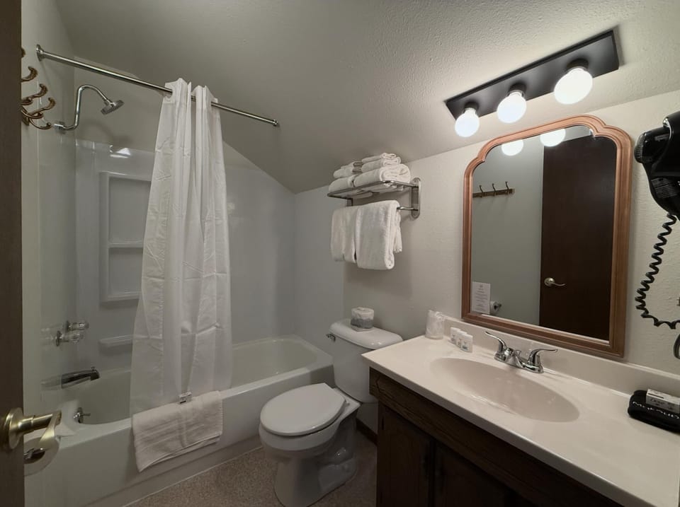 Premium Room, 1 Queen Bed, Non Smoking | Bathroom | Combined shower/tub, rainfall showerhead, free toiletries, hair dryer