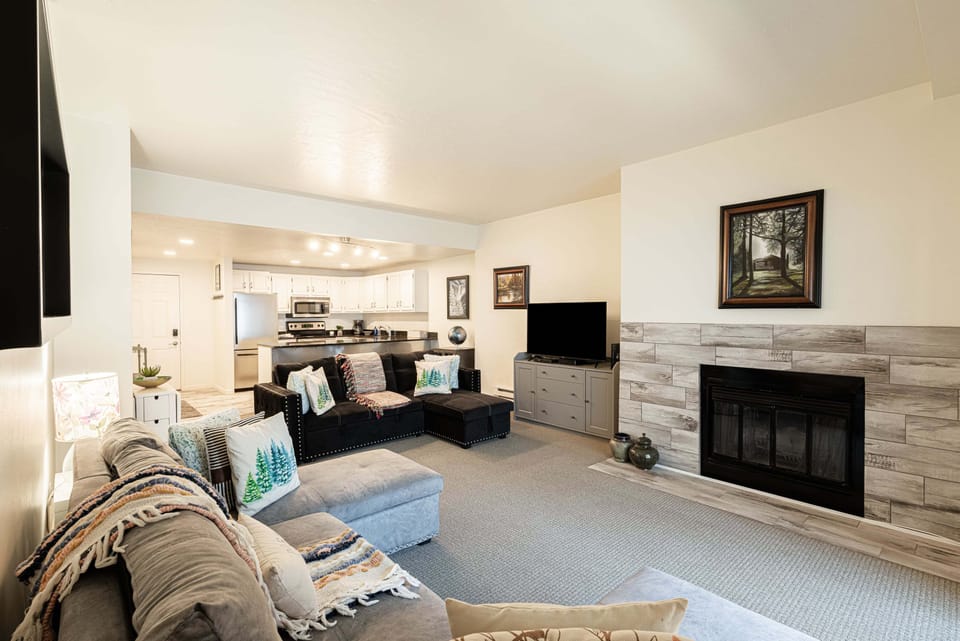 Living area with fireplace, TV, and pull-out sofas