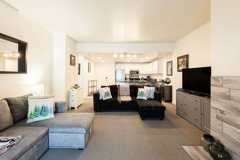 Open living space with pull-out sofas
