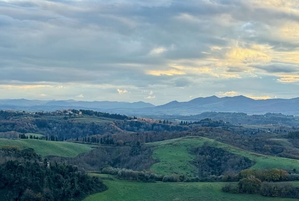 Scenic View