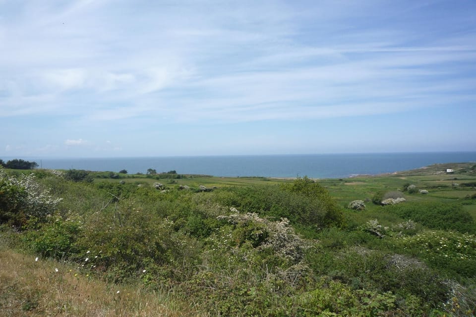 Region [summer] (>5 km)
