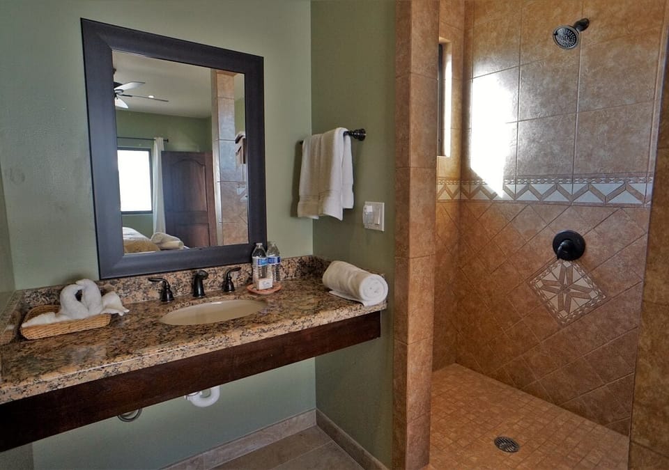 Deluxe Room, Mountain View | Bathroom | Shower, towels, soap, shampoo