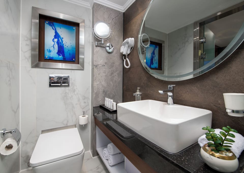 Hair dryer, towels, soap, shampoo