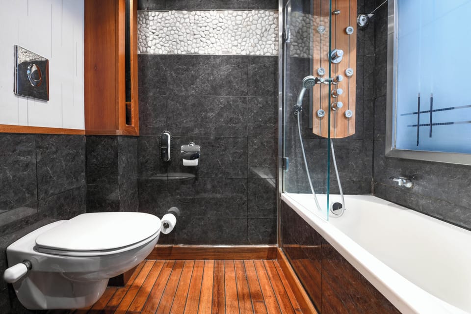 Hair dryer, towels, soap, shampoo