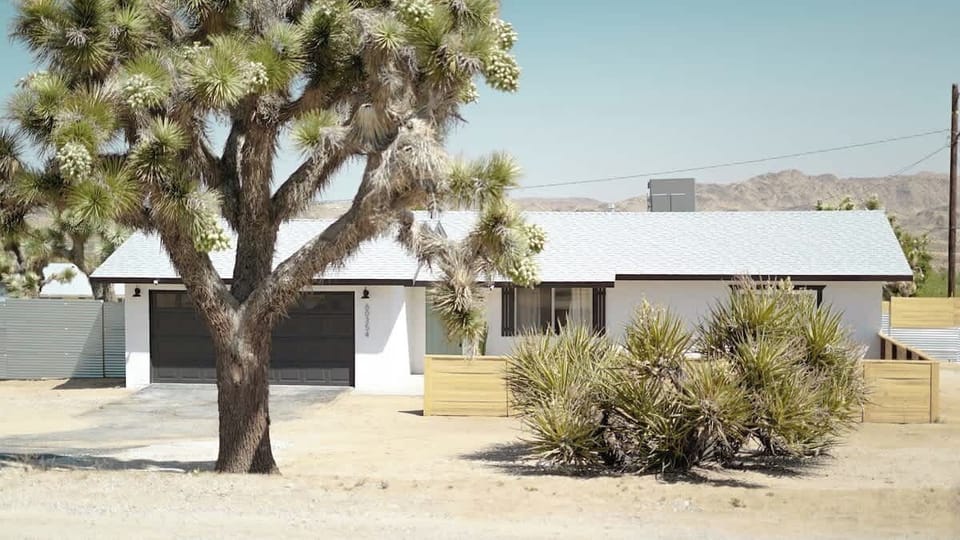 Beautiful Joshua Trees greet you when you arrive!
