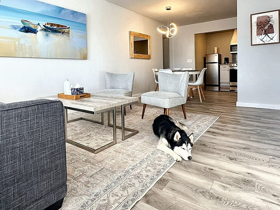 Sunlight-filled living area with comfy gray couch & armchair invites relaxation with a touch of modern style.