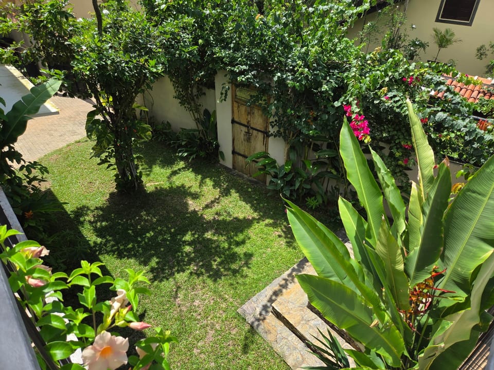 Downstairs Garden