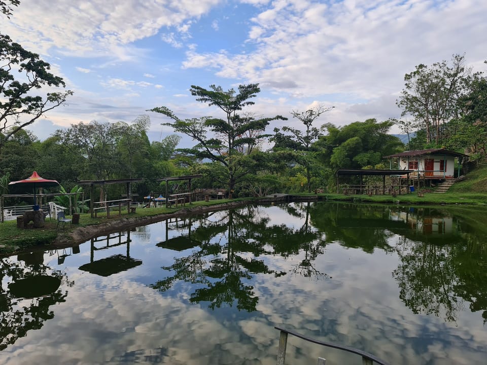Lake
