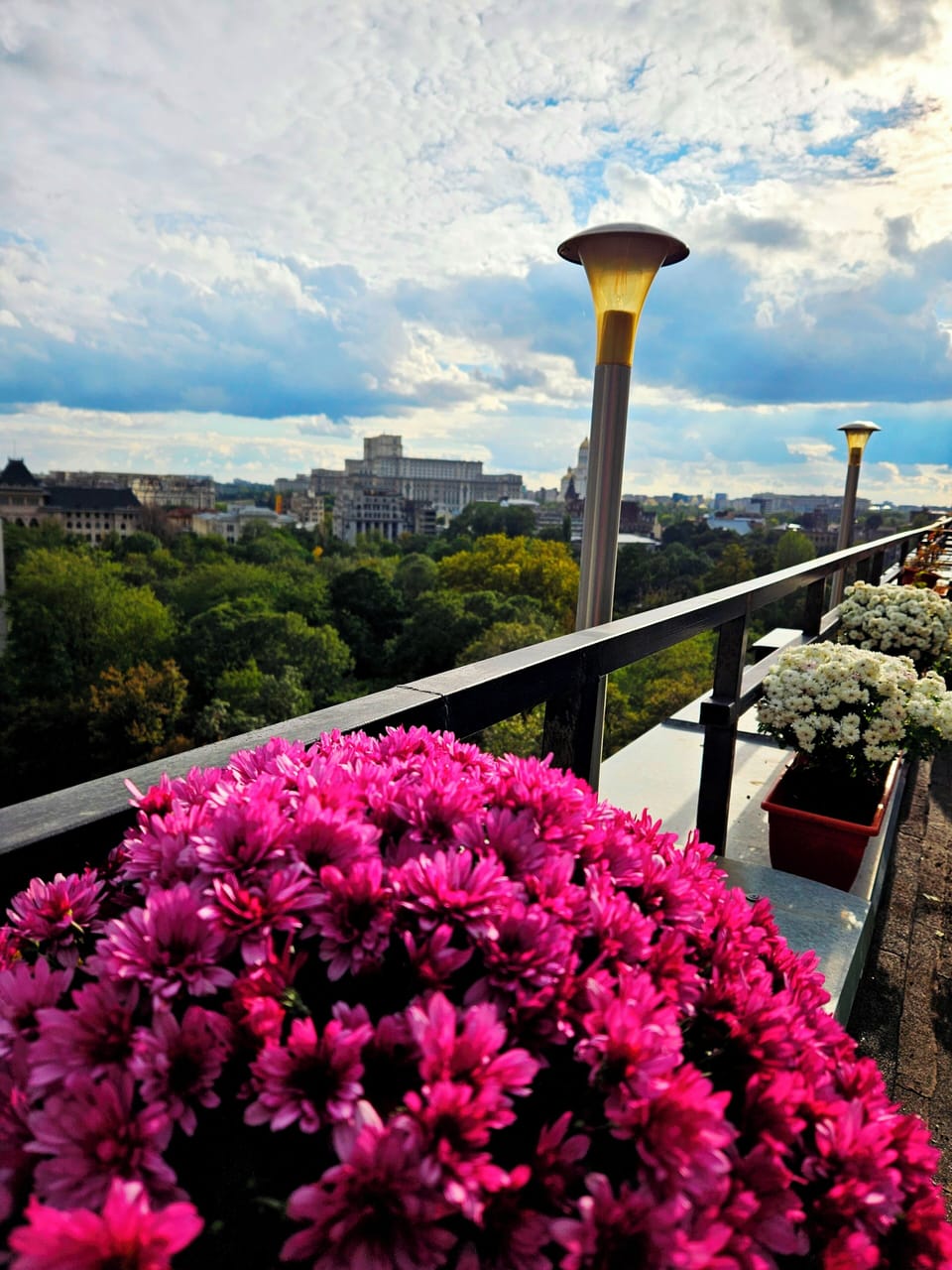 Terrace. View over park.