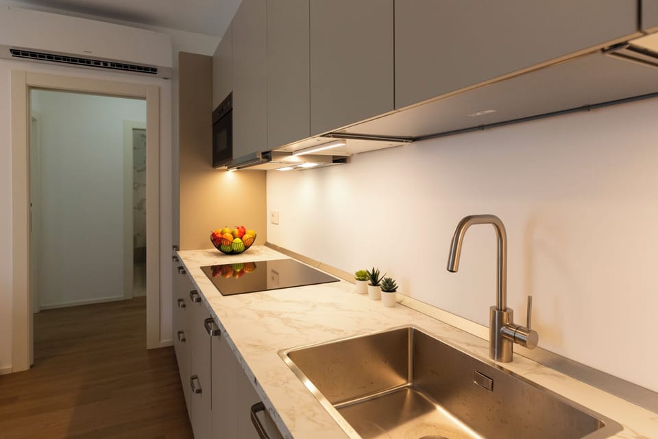 Deluxe Apartment | Private kitchen | Full-size fridge, microwave, stovetop, dishwasher