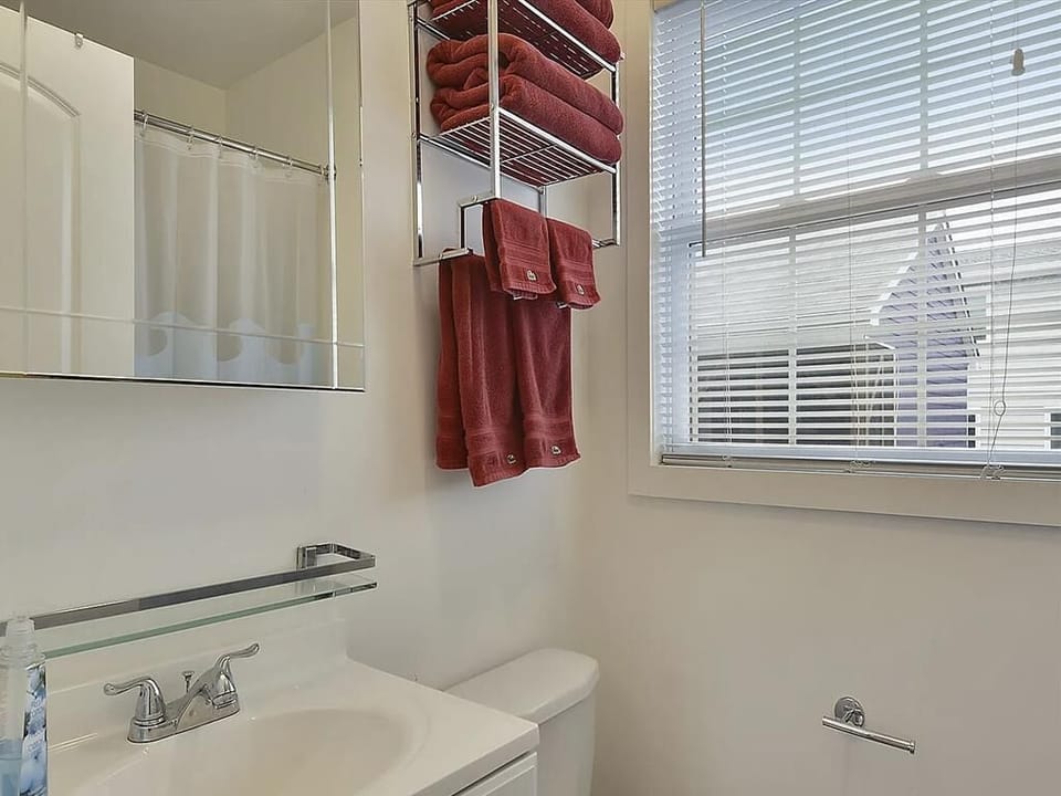 Bright bathroom featuring a mirrored cabinet, fresh towels, and natural light from the window.
