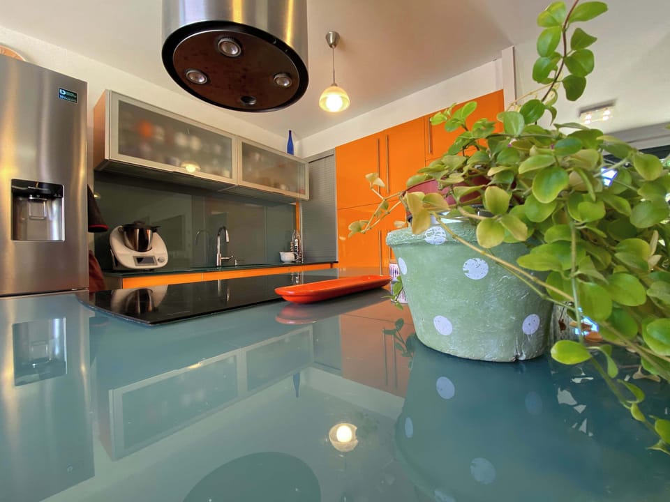 Détail du plan de travail en verre avec plante décorative et éclairage