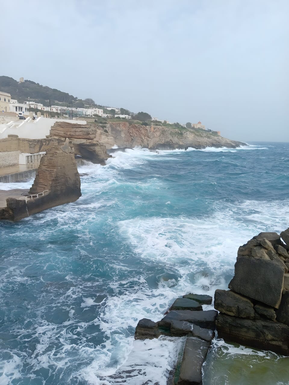 Miscellaneous