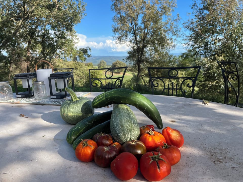 View from property