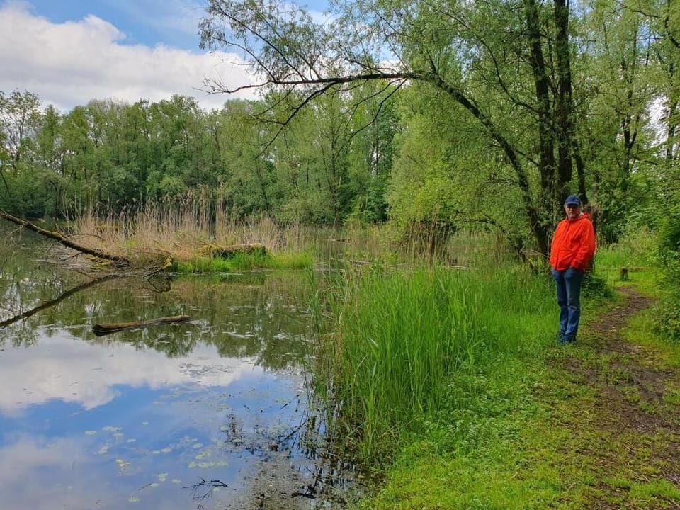 House, 4 Bedrooms, Mountain View | Miscellaneous