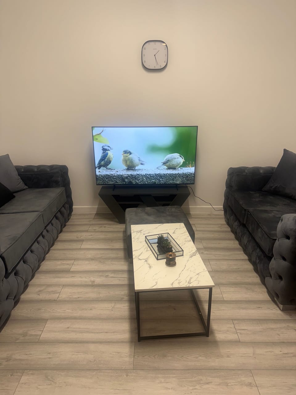 Flat-screen TV