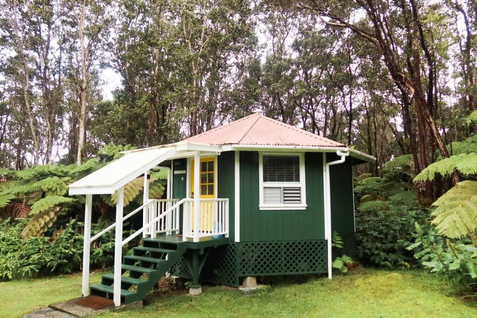 Surrounded by jungle, grounded in calm.