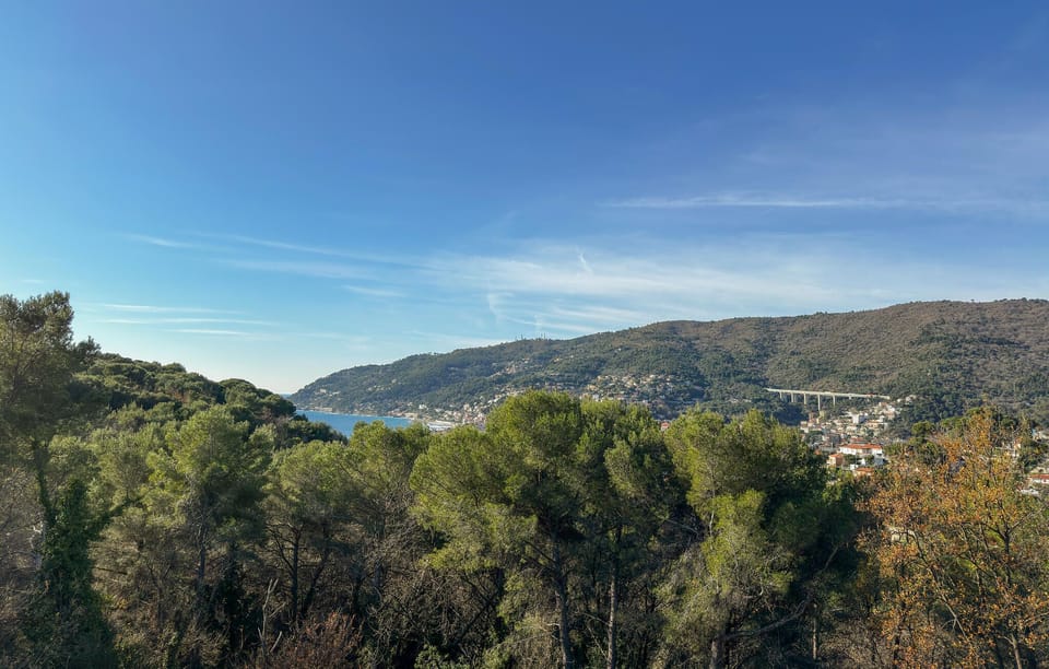 view-from-room