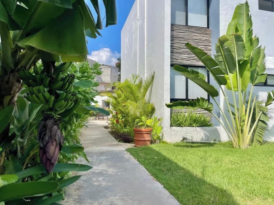 Shared tropical garden and green walkway (common area)