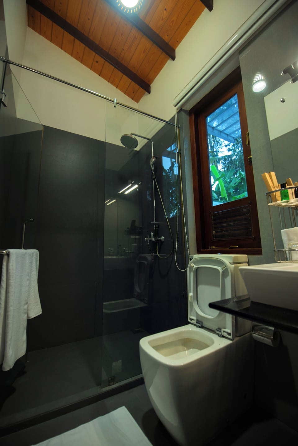 Towels, soap, shampoo, toilet paper